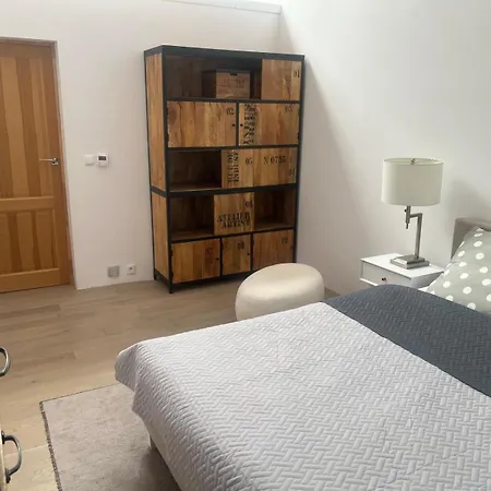 T&b Luxury House In * Krakau